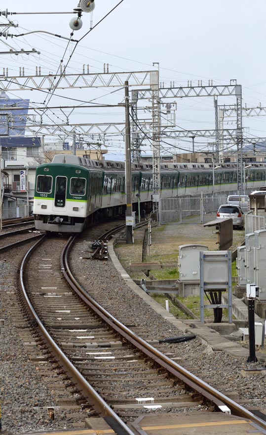 2014jyounanguusidareume242