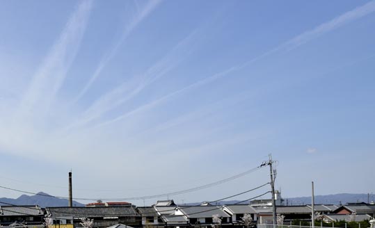 2014kooriyamajyou001