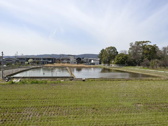 2014kooriyamajyou003