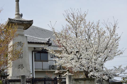 2014kooriyamajyou026