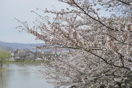 2014kooriyamajyou030