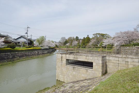 2014kooriyamajyou031