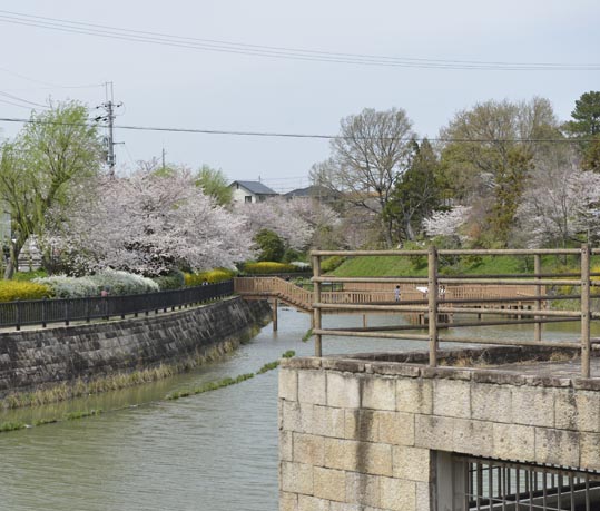 2014kooriyamajyou032