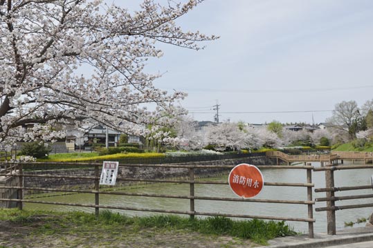 2014kooriyamajyou035