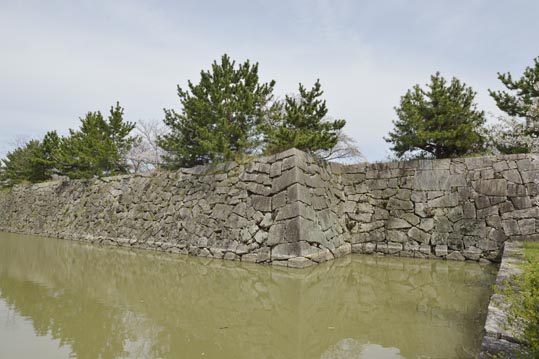 2014kooriyamajyou039