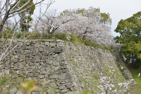 2014kooriyamajyou045