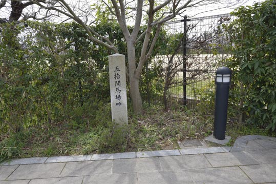 2014kooriyamajyou053