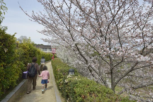 2014kooriyamajyou055