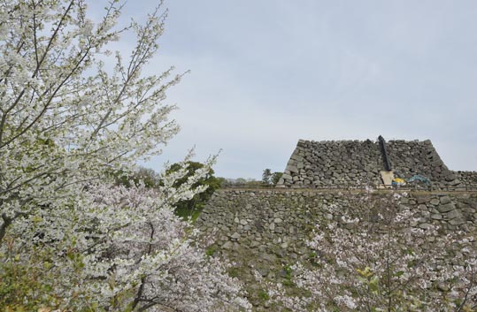 2014kooriyamajyou056