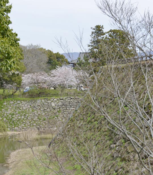 2014kooriyamajyou058