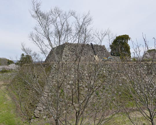 2014kooriyamajyou059