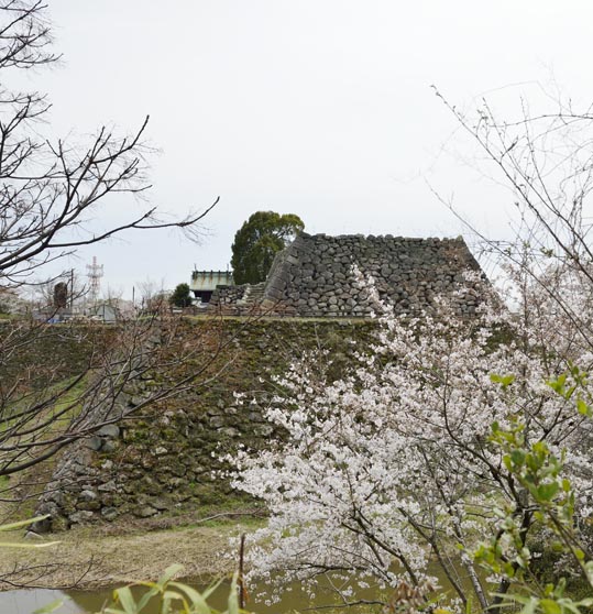 2014kooriyamajyou065