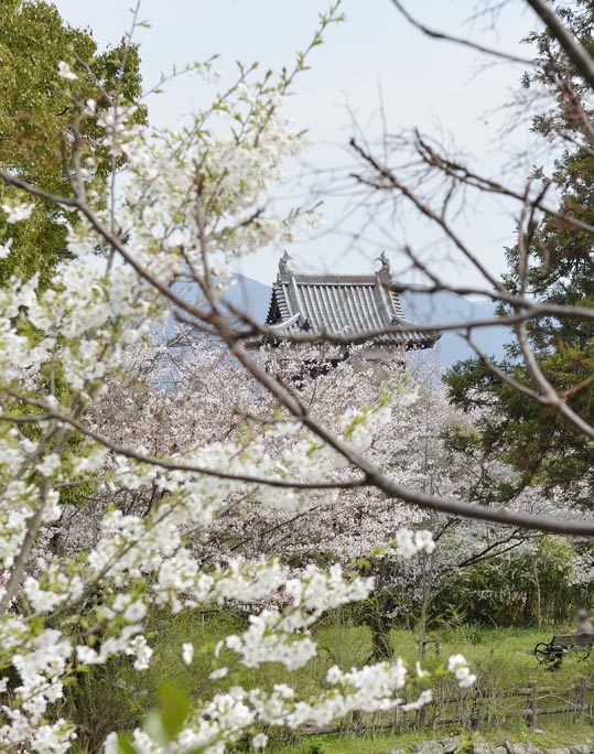 2014kooriyamajyou066