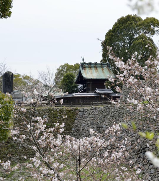 2014kooriyamajyou069