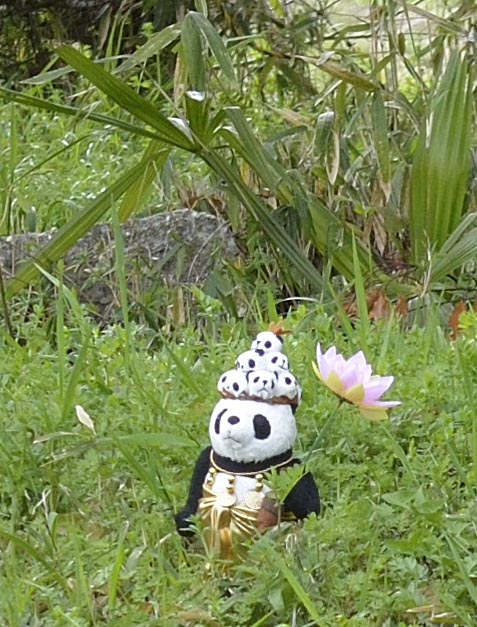 2014kooriyamajyou074