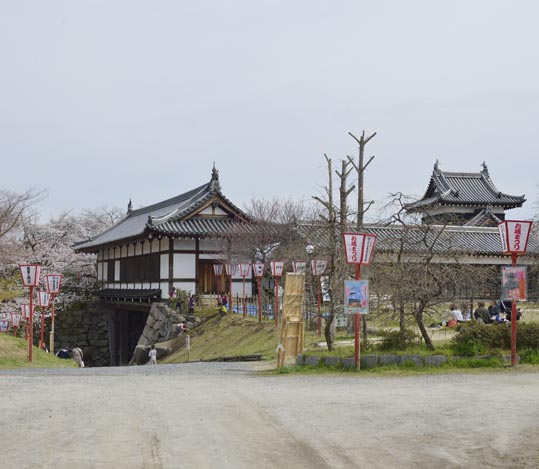 2014kooriyamajyou079