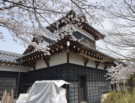 2014kooriyamajyou091