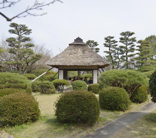 2014kooriyamajyou098