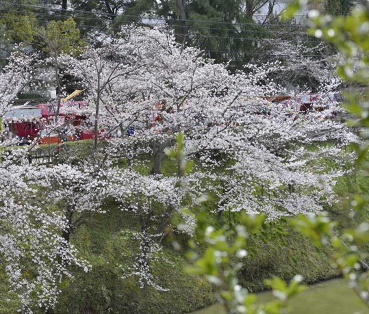 2014kooriyamajyou115