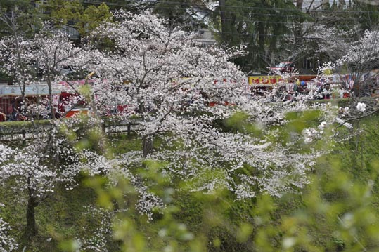 2014kooriyamajyou117