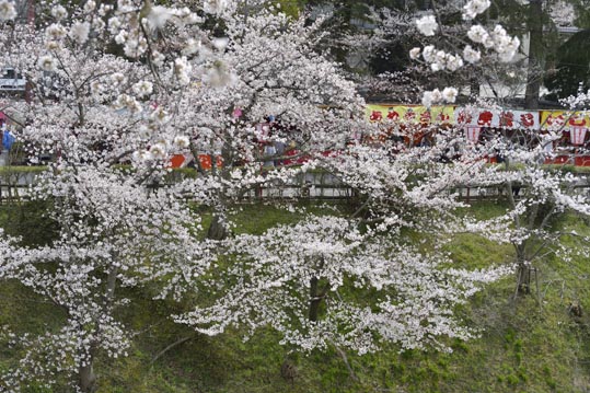 2014kooriyamajyou118