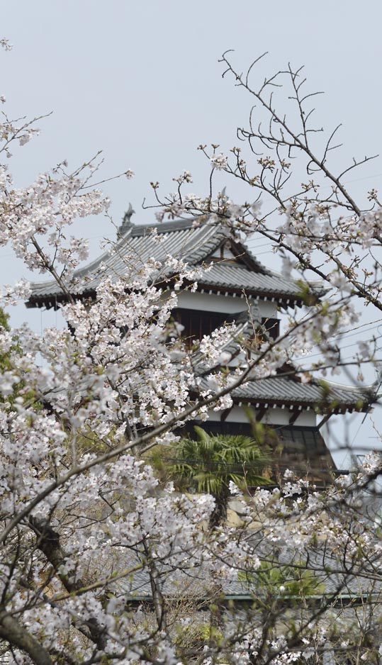 2014kooriyamajyou140