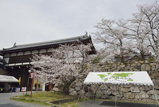 2014kooriyamajyou147