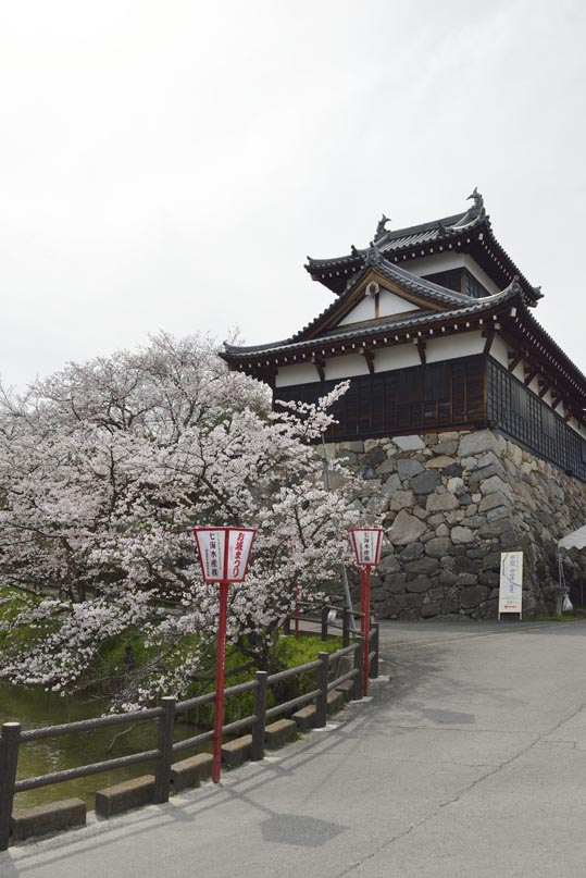 2014kooriyamajyou151