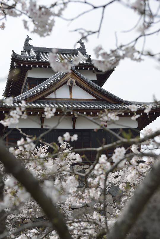 2014kooriyamajyou155