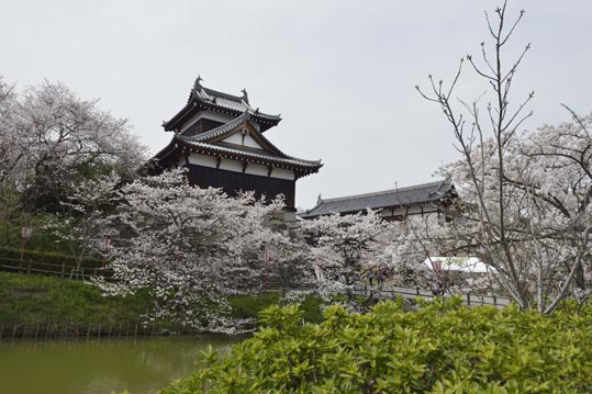 2014kooriyamajyou156