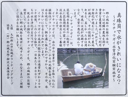 2014kooriyamajyou165