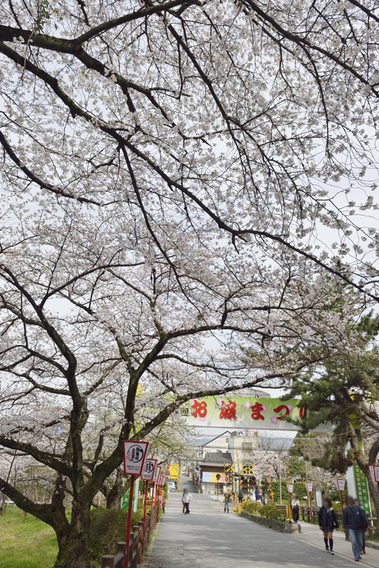 2014kooriyamajyou175