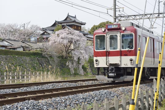 2014kooriyamajyou182