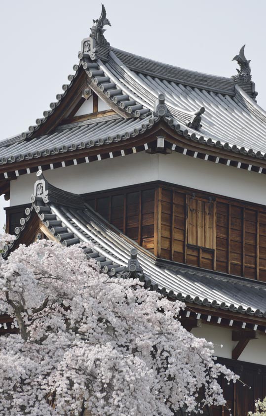 2014kooriyamajyou188