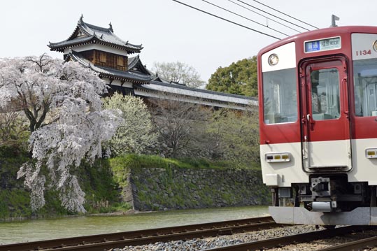 2014kooriyamajyou197