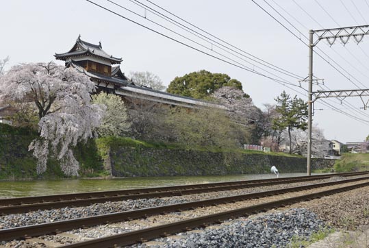 2014kooriyamajyou198