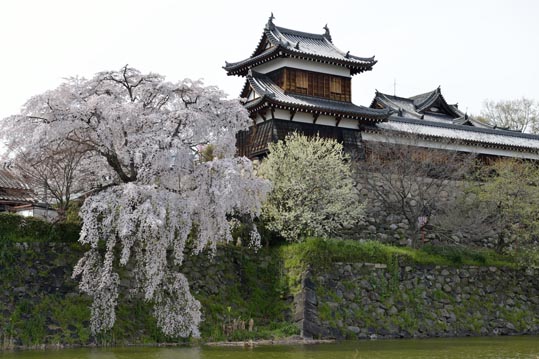 2014kooriyamajyou203