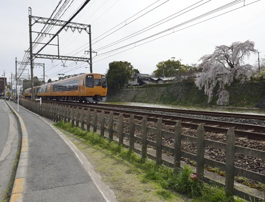 2014kooriyamajyou206