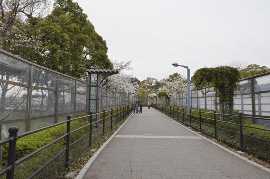 2014kooriyamajyou212