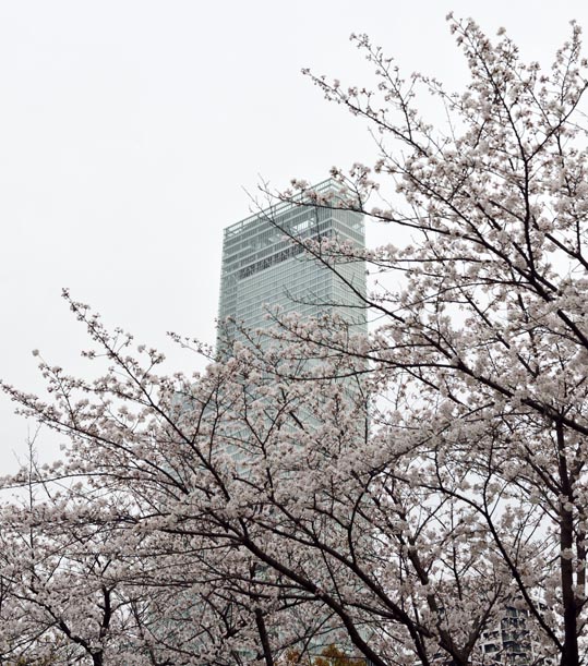 2014kooriyamajyou219