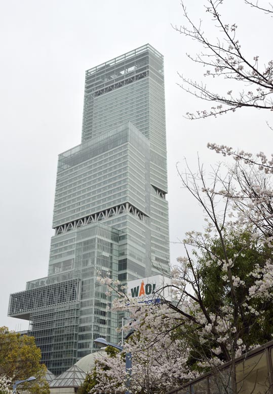 2014kooriyamajyou222