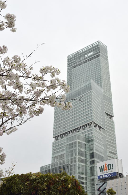 2014kooriyamajyou223